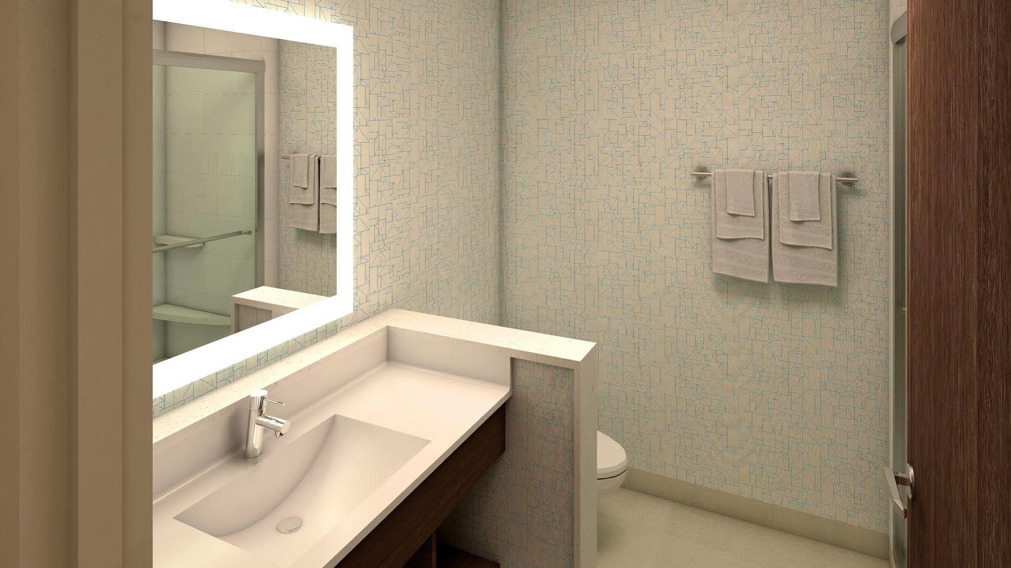 Holiday Inn Express & Suites Okemos - University Area By Ihg Zewnętrze zdjęcie